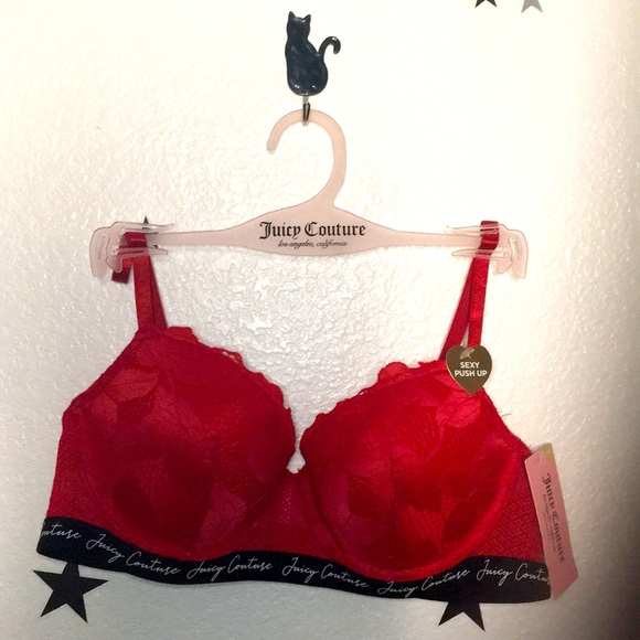 Juicy Couture Other - BNWT 34C Juicy Couture
